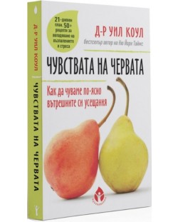 Чувствата на червата. Как да чуваме по-лесно вътрешните си усещания