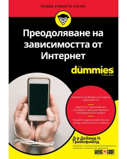 Преодоляване на зависимостта от Интернет For Dummies