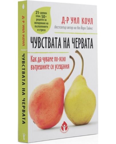 Чувствата на червата. Как да чуваме по-лесно вътрешните си усещания - 1