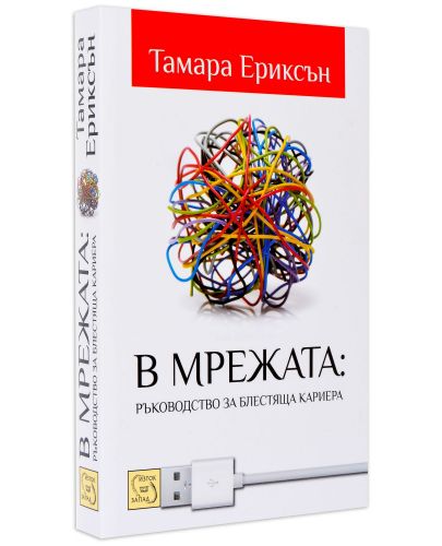 В мрежата: Ръководство за блестяща кариера - 1