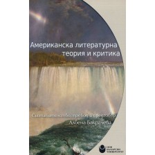 Американска литературна теория и критика