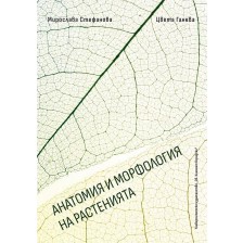 Анатомия и морфология на растенията -1