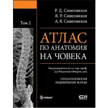 Атлас по анатомия на човека - том 2: Спланхнология, Ендокринни жлези