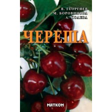 Череша