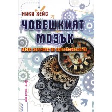 Човешкият мозък: Лесен наръчник по невропсихология