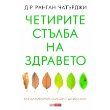 Четирите стълба на здравето