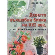 Деветте вълшебни билки на XXI век, които всеки може да отгледа