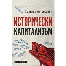 Исторически капитализъм