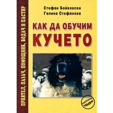 Как да обучим кучето