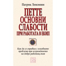 Петте основни слабости при работата в екип