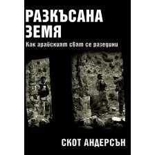 Разкъсана земя. Как се разедини арабският свят