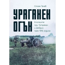 Ураганен огън. Епопеите при Тутракан и Добрич през 1916 г.