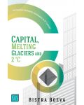 Capital, Melting Glaciers and 2°C: Sustainable Corporate Governance in 21st century - 1t