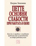 Петте основни слабости при работата в екип - 1t