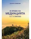 В храма на медиацията. Как е на практика - 1t