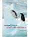 „Антарктида – окото на космоса“ - 1t